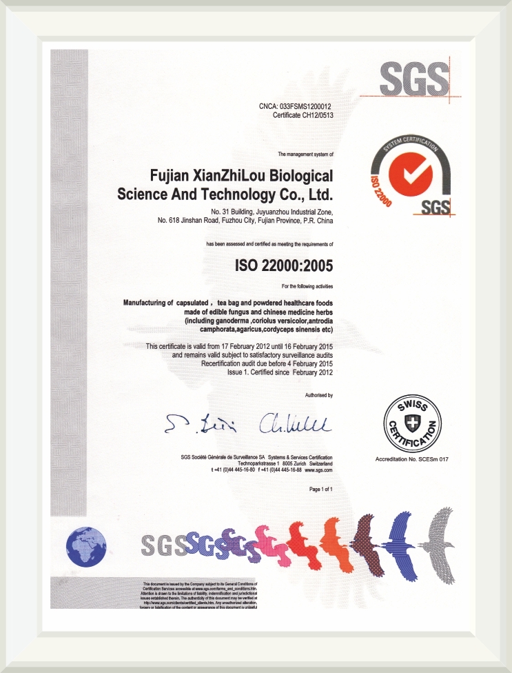 Students collaborating in a modern classroom