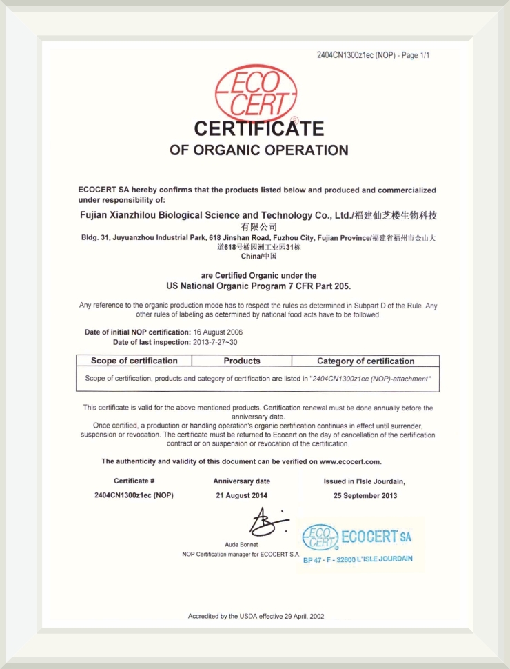 Students collaborating in a modern classroom